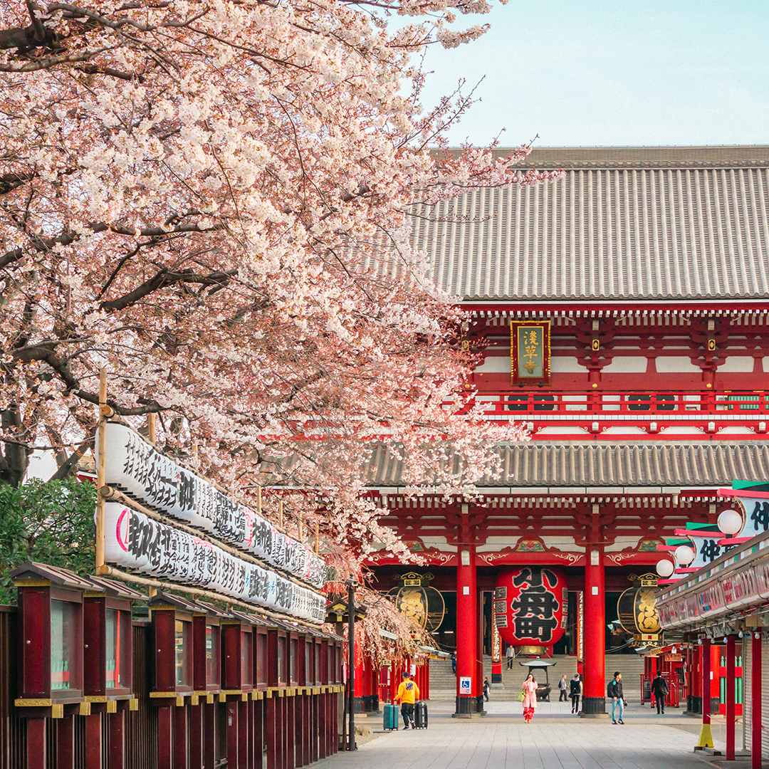 Senso-ji Temple in Asakusa, Tokyo. A famous Japanese temple renowned for the Kaminarimon gate and massive red lanterns.