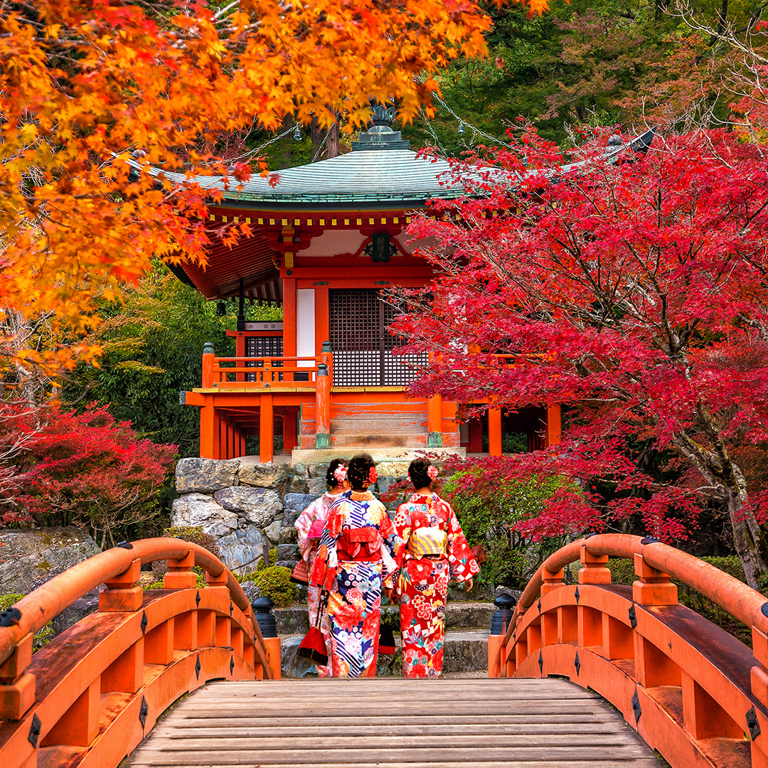 Three women in Japanese Kimono and Yukata walk around Daigo-ji Temple in Kyoto, a UNESCO World Heritage Site.